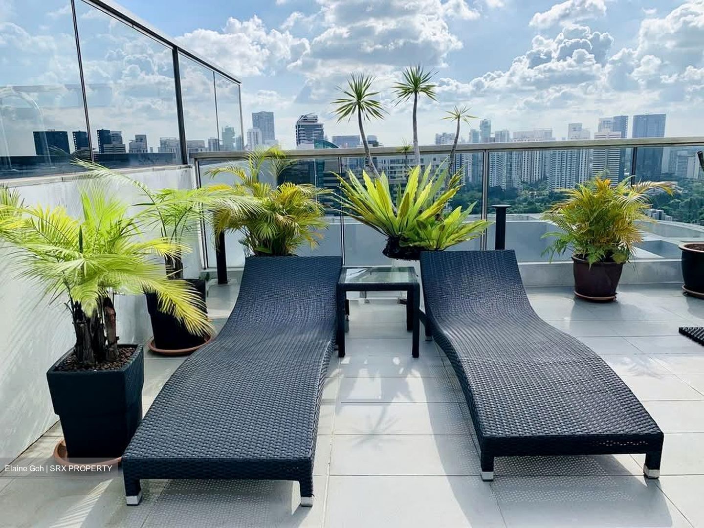 Trilight (D11), Condominium #580262751